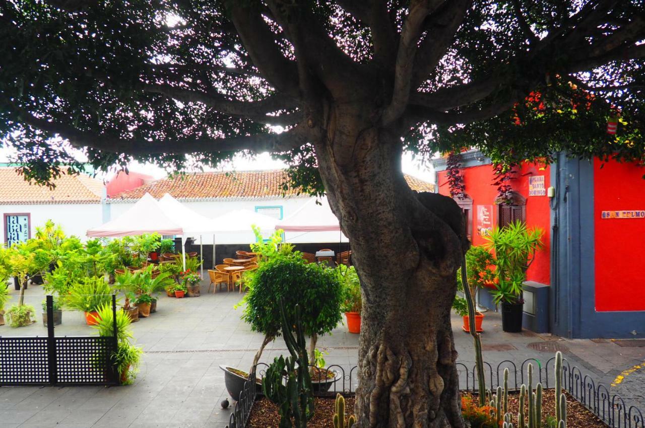 Casa De Amig@S En Santa Cruz De La Palma Διαμέρισμα Santa Cruz de la Palma  Εξωτερικό φωτογραφία
